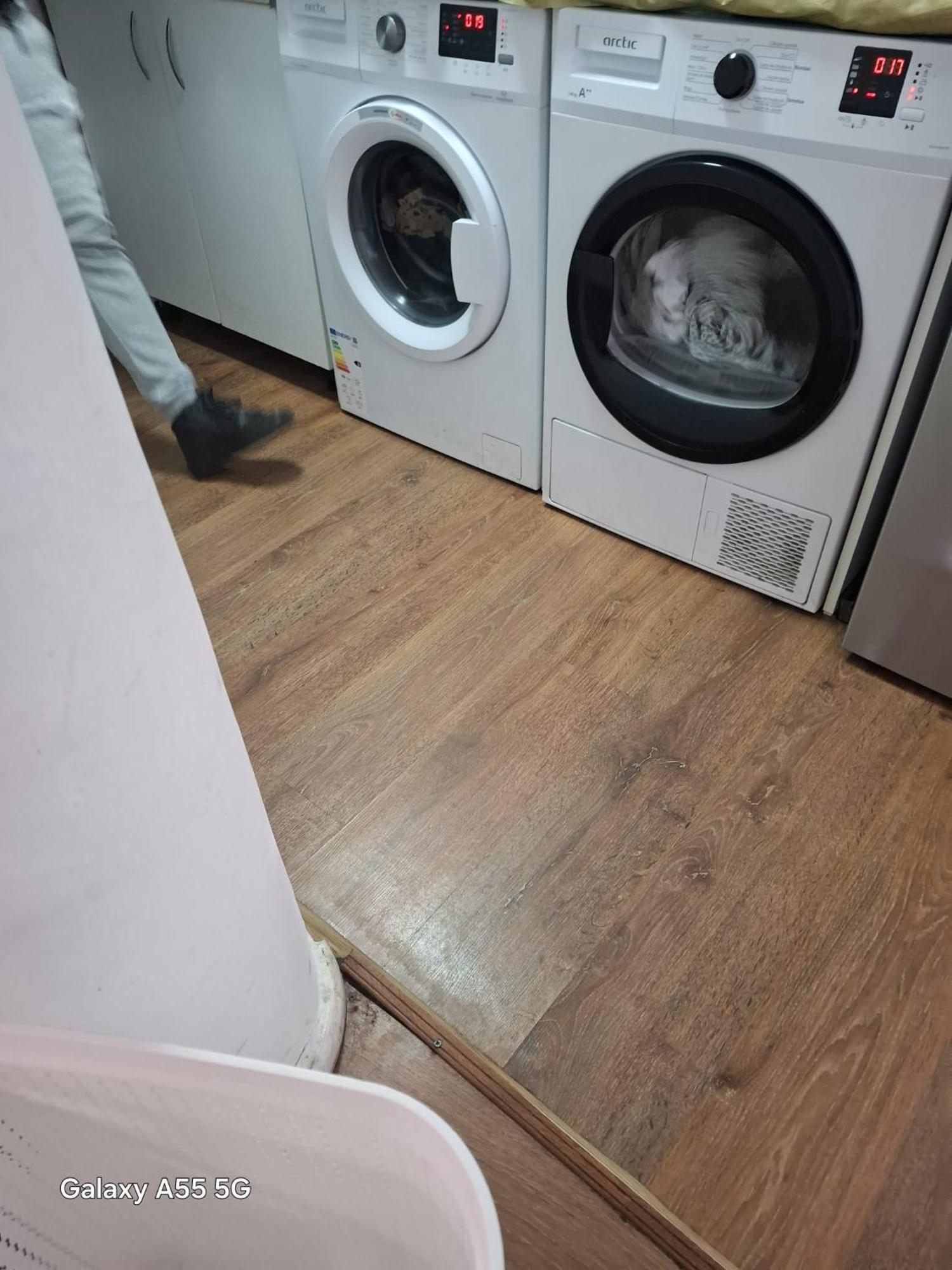 Hotel Casa Vlaicu Braszów Zewnętrze zdjęcie